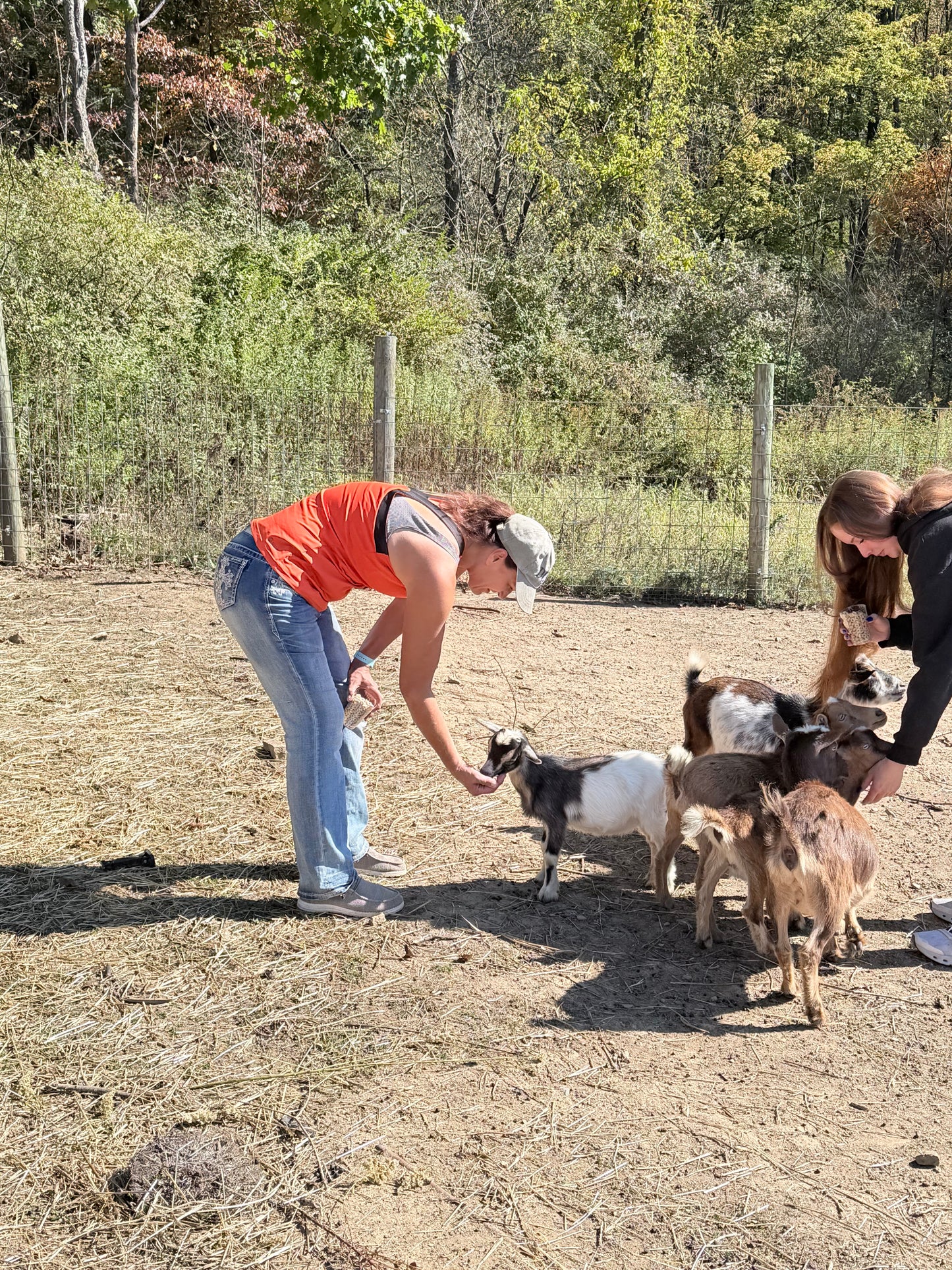 Dried Flower Wreath Workshop - Nov 6, 5:30-7:30pm